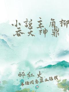 小说主角柳无邪 吞天神鼎