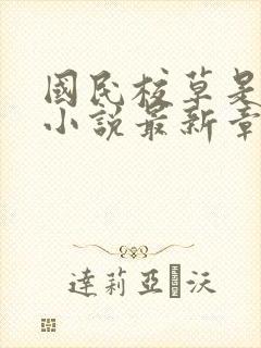 国民校草是女生小说最新章节阅读