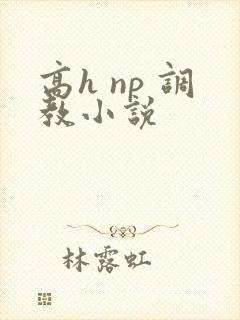 高h np 调教小说