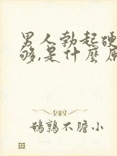 男人勃起硬度不够,是什么原因