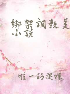 绑架调教美女的小说