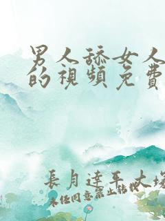 男人舔女人下身的视频免费