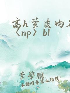 高h荤爽肉欲文〈np〉bl