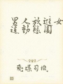 男人放进女人阴道动态图