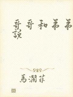 哥哥和弟弟的小说