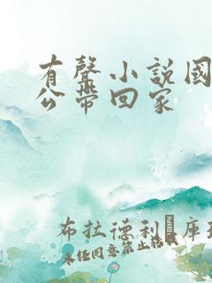 有声小说国民老公带回家