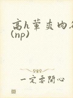 高h荤爽肉欲文(np)