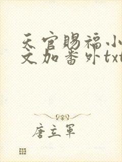 天官赐福小说全文加番外txt
