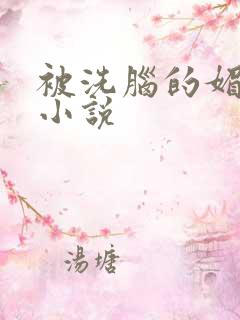 被洗脑的媚黑国小说