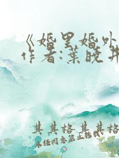 《婚里婚外》 作者:叶晓井