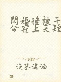 闪婚后被千亿老公宠上天短剧全集大结局