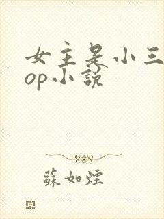 女主是小三的pop小说