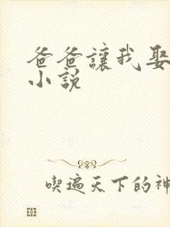 爸爸让我娶妈妈小说