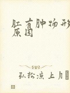 肛有肿物形成的原因