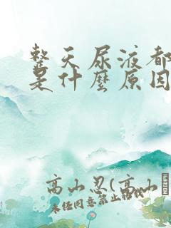 整天尿液都很黄是什么原因