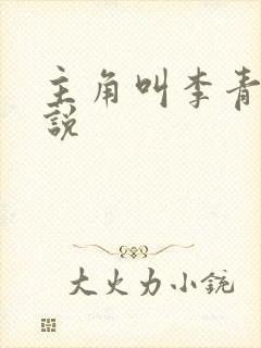 主角叫李青的小说