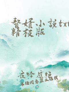 赘婿小说txt精校版