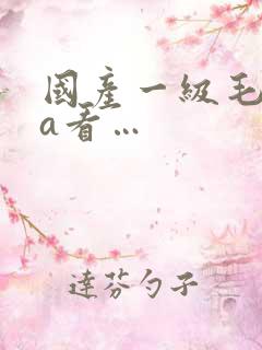国产一级毛一级a看…