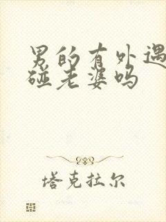 男的有外遇还会碰老婆吗