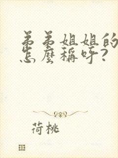 弟弟姐姐的儿子怎么称呼?