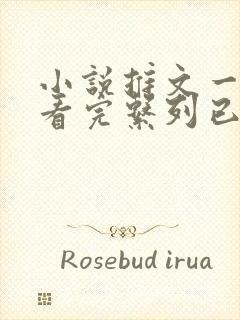 小说推文一口气看完系列已完结虐文