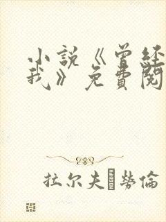 小说《曾经爱过我》免费阅读