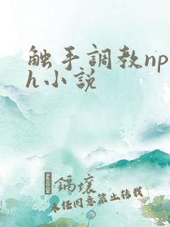 触手调教np高h小说