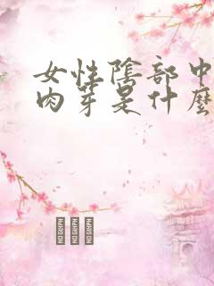 女性阴部中间长肉芽是什么原因