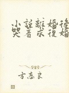 小说离婚后前夫哭着求复婚免费阅读