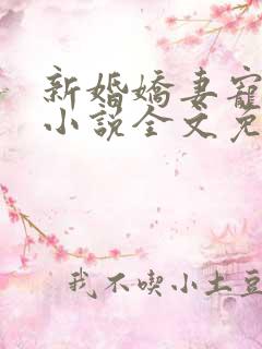 新婚娇妻宠上瘾小说全文免费阅读