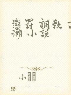 惩罚 调教 高潮 小说