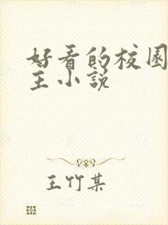 好看的校园双男主小说