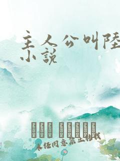 主人公叫陆浩的小说