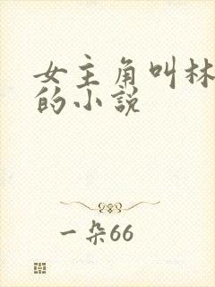 女主角叫林清妍的小说