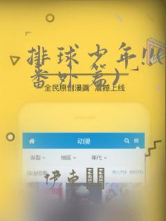 排球少年!!(番外篇)：结局+番外