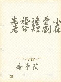 先婚后爱小叔变老公短剧在线观看