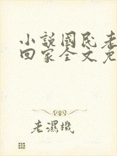 小说国民老公带回家全文免费阅读