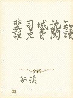 裴司城沈知意小说免费阅读最新章节