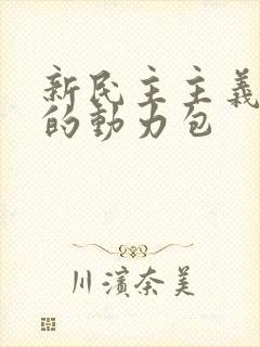 新民主主义革命的动力包