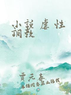 小说 虐 性 调教