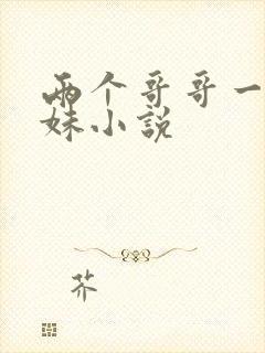 两个哥哥一个妹妹小说