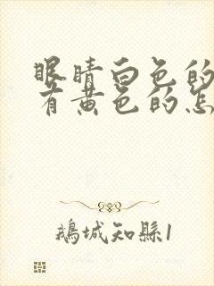 眼睛白色的地方有黄色的怎么回事