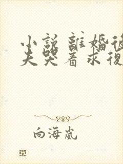 小说 离婚后前夫哭着求复婚