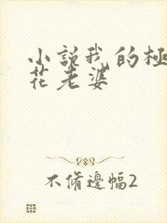 小说我的极品校花老婆