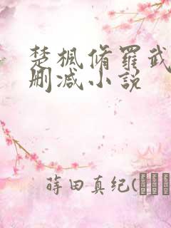 楚枫修罗武神未删减小说