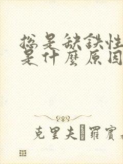 总是缺铁性贫血是什么原因造成的