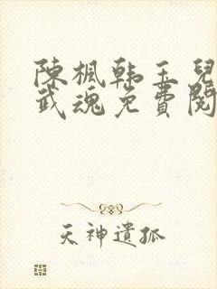 陈枫韩玉儿绝世武魂免费阅读