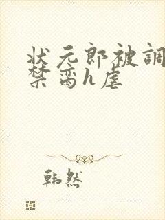 状元郎被调教成禁脔h虐