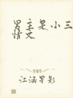 男主是小三的言情文