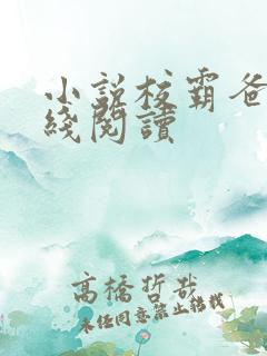 小说校霸爸爸在线阅读